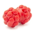 thumbnail image 1 of Alpha Animal Biter Heavy-Duty Rubber Dog Chew Toy for Aggressive Biters - Red, 1 of 3
