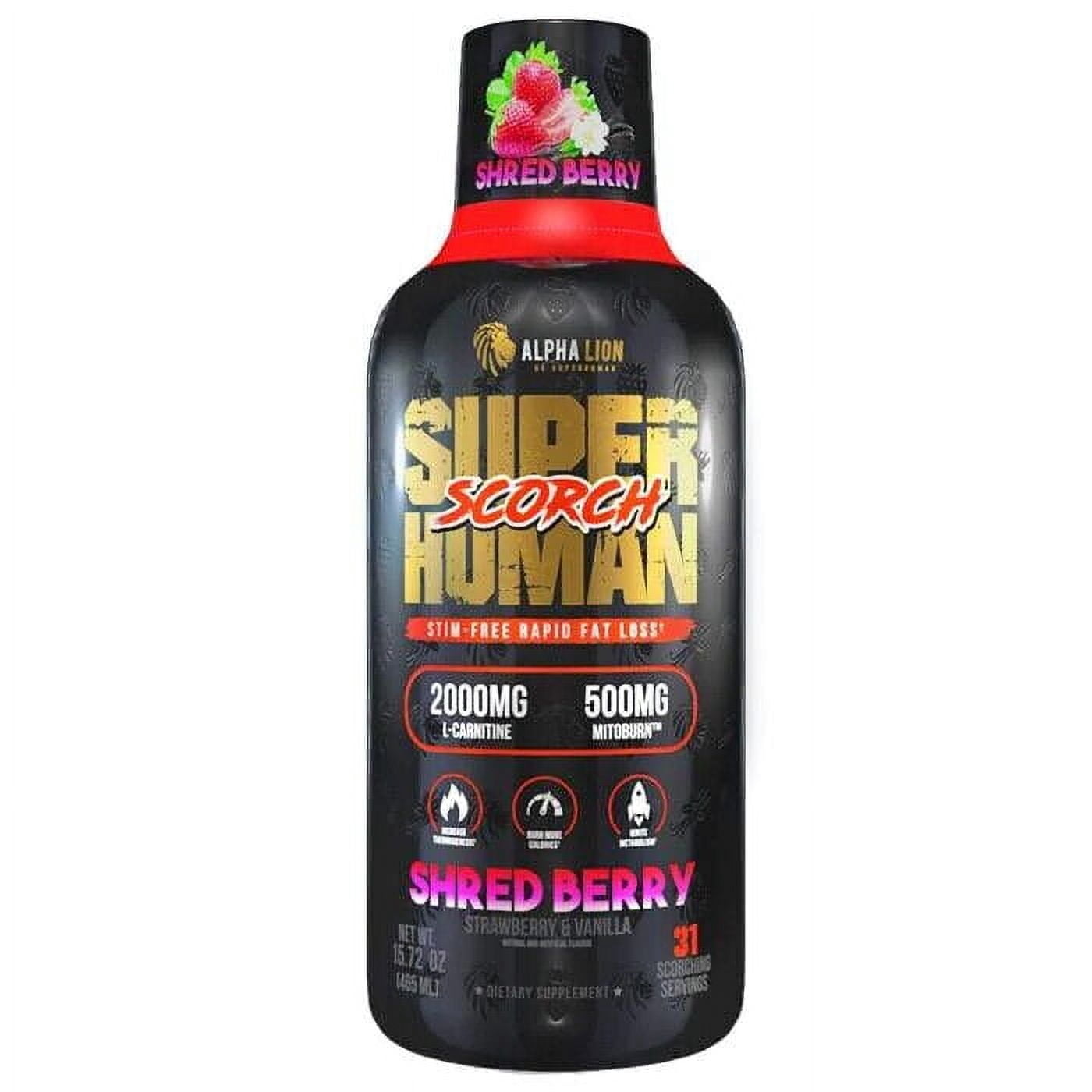 alpha lion l carnitine reviews Alpha Lion Burn 2.0 Non-Stimulant L-Carnitine 31 Servings main image 1