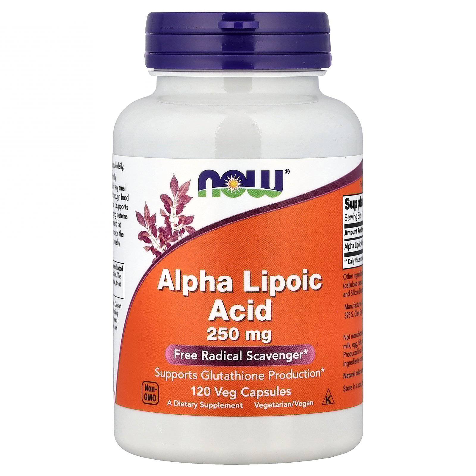 Alpha Lipoic Acid 250 mg by Now Foods 120 Vegetarian Capsules
