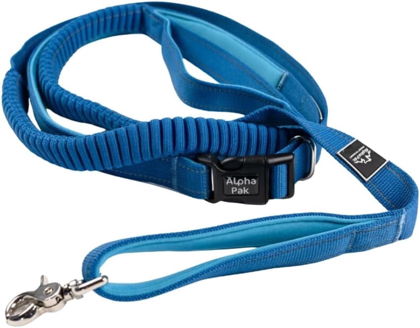 Alpha Pak | Cascades Stretchable Runner Dog Leash | Hands-Free | Reflective | Durable | 6-10 ft. Stretched | Metallic Blue