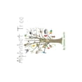 thumbnail image 1 of Alphabet Tree, (Paperback), 1 of 1