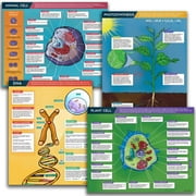 Science Education Charts Posters Biology Supplies