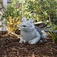 thumbnail image 1 of Alpine Corporation 12" Solar Frog Outdoor Garden Statue, 1 of 12