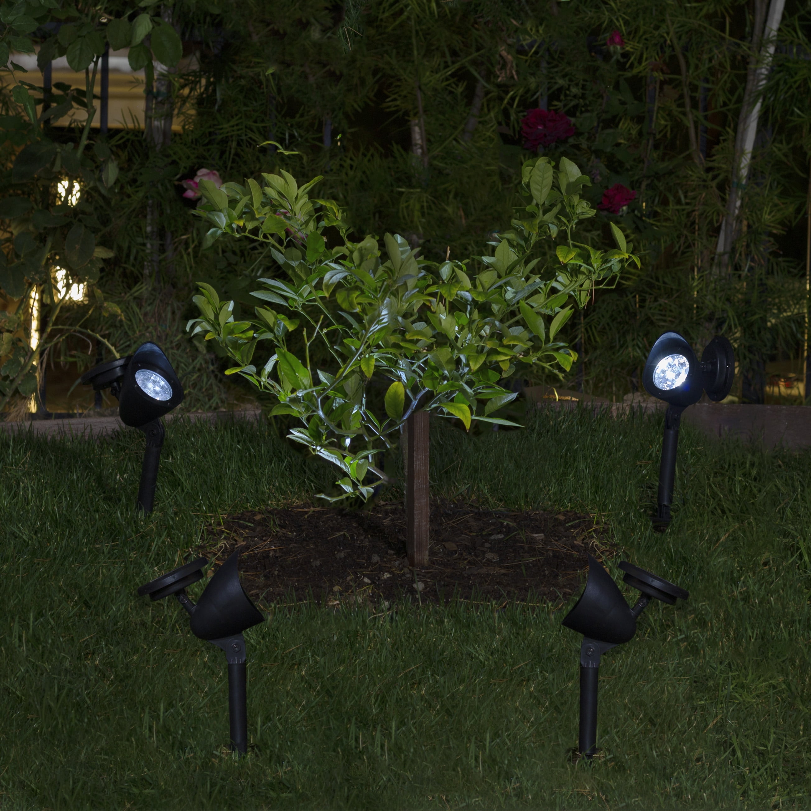 Black Solar Powered LED Pathway Light Set of 6