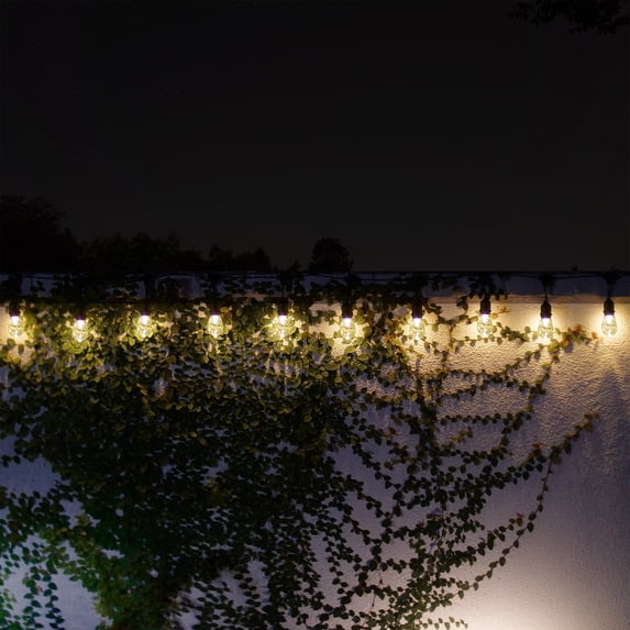 Alpine Corporation 89" Indoor/Outdoor 10-Pin Edison Bulb Shell LED String Lights, Warm White
