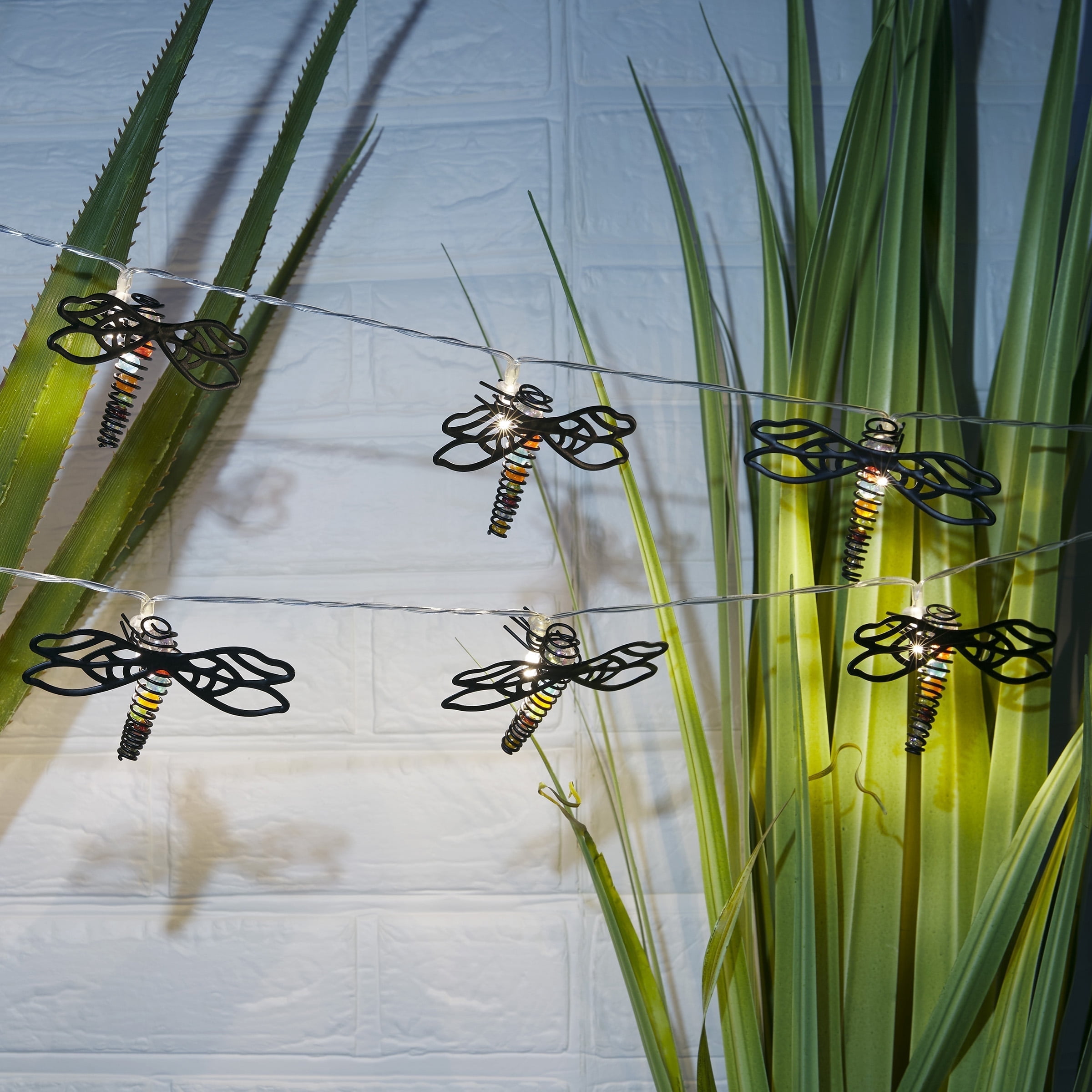 49 Dragonflies