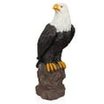 thumbnail image 1 of Alpine Corporation Eagle on Rocks Statuary, 1 of 5
