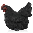 thumbnail image 1 of Alpine Corporation Polyresin Resting Black Hen Statuary, 1 of 15