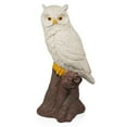thumbnail image 1 of Alpine Corporation White Owl on Tree Trunk Statuary, 1 of 14