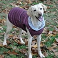 thumbnail image 1 of Alpine Extreme Weather Puffer Dog Coat by Doggie Design - Burgundy - X-Large, 1 of 2