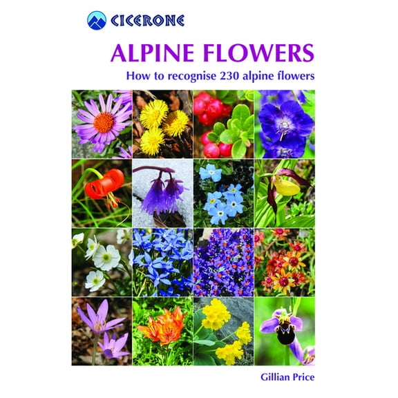Alpine Flowers : How to Recognize Over 200 Alpine Flowers (Edition 1) (Paperback)