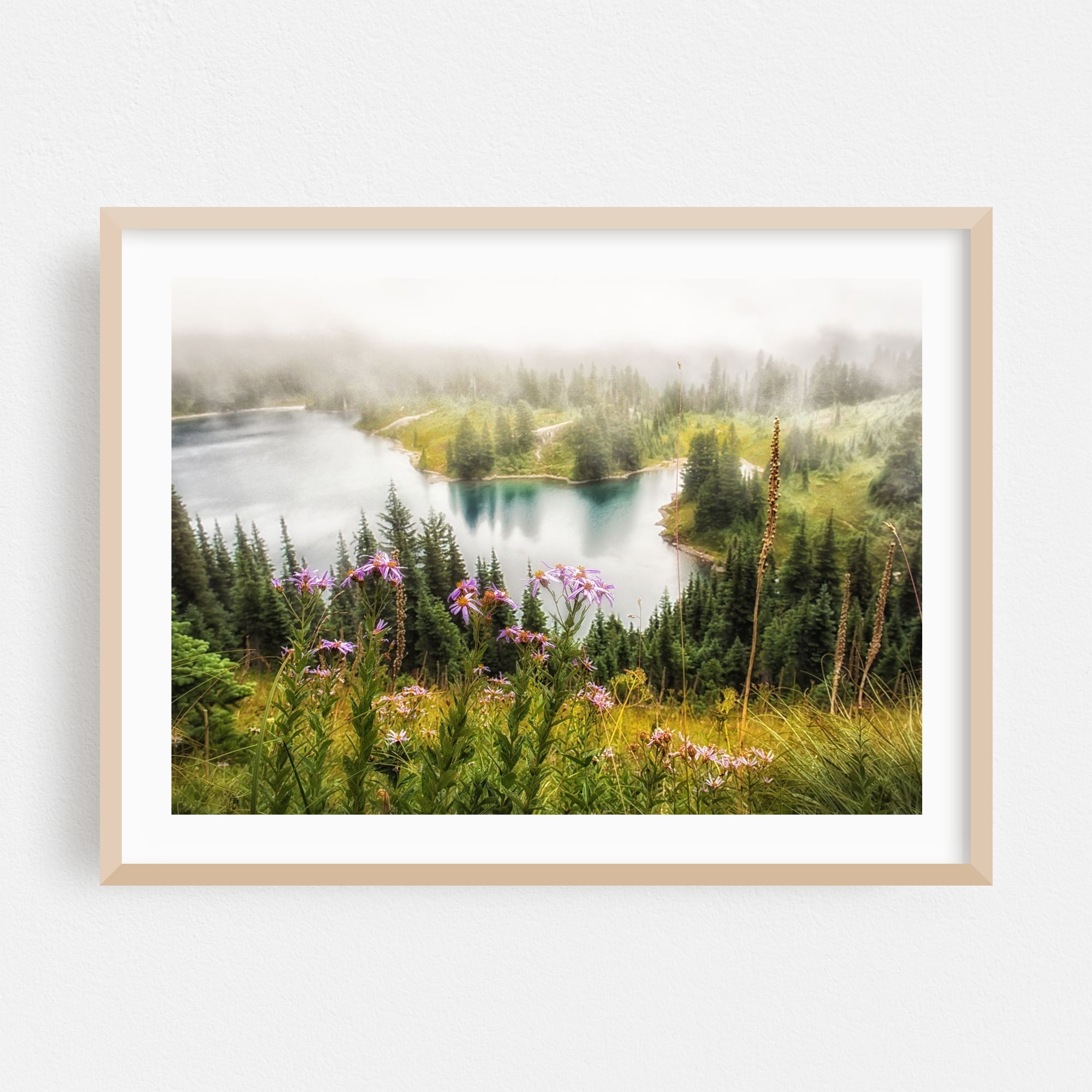 Alpine Lake Fog - Photography Nature Scenic Lake Flowers Forest ...