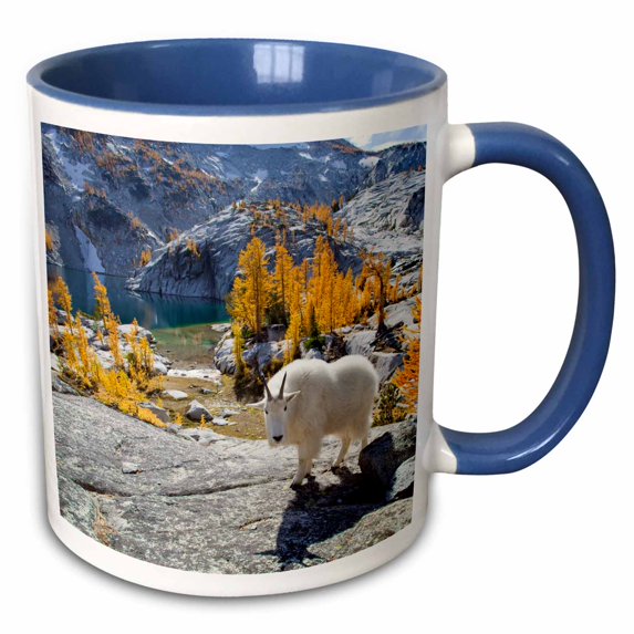 3drose, Alpine Lakes Wilderness, Mountain Goat, Larch, Wa - Us48 Glu0224 - Gary Luhm, 11oz Two-tone Blue Mug
