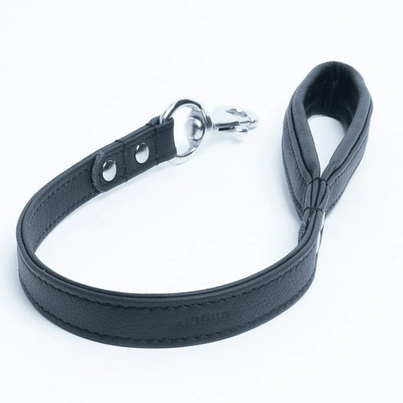 Alpine Leash