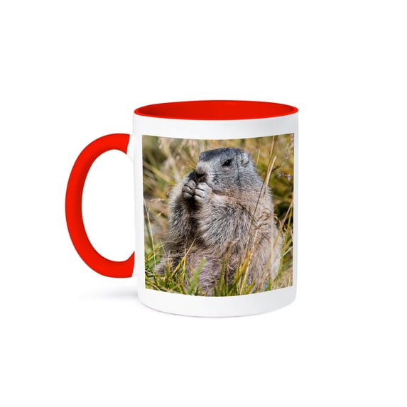 3drose, Alpine Marmot in the Hohe Tauern, Austria, 11oz Two-tone Red Mug