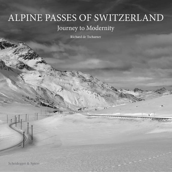 Alpine Passes of Switzerland : Journey to Modernity (Hardcover)