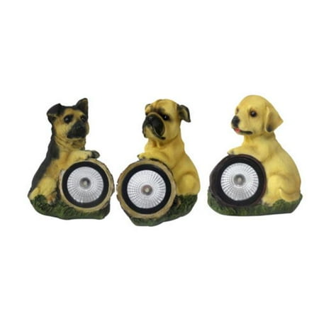 Alpine SLL1030ABB Solar LED Dog with Light Assorted Styles, 6 in.