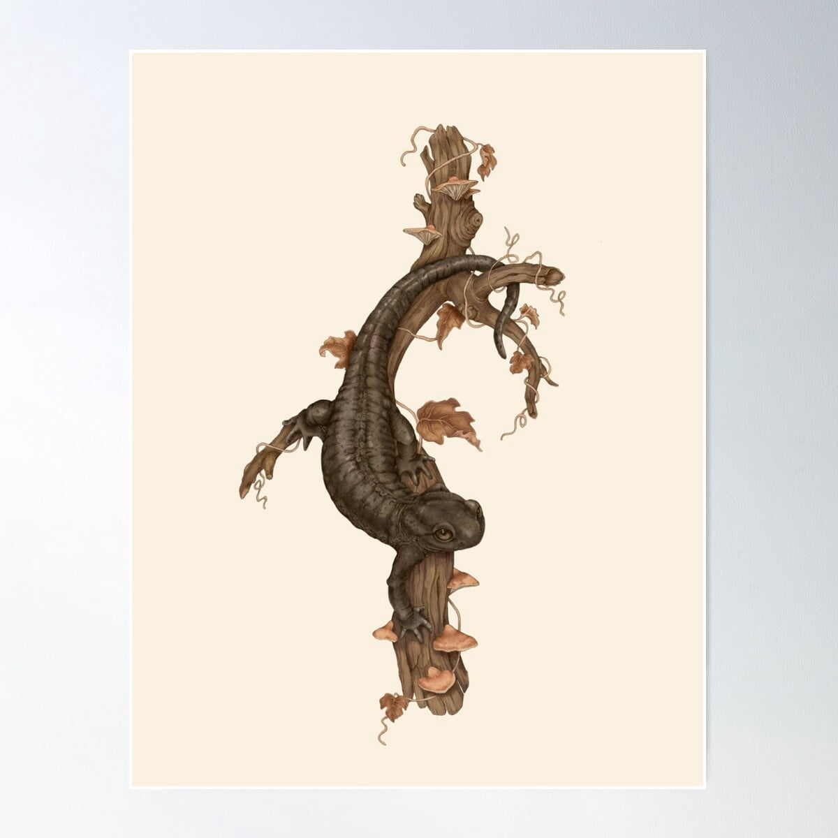 Alpine Salamander, Black Reptile Print Poster Wall Art, Modern Wall ...