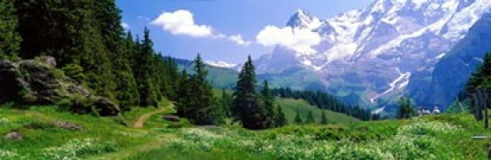 Alpine Scene Near Murren Switzerland Canvas Art - Panoramic Images (36 x 12)