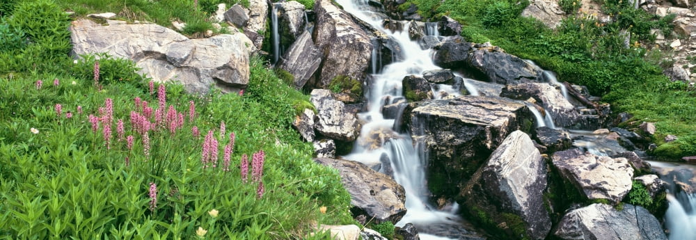 Alpine garden near cascade waterfall Prospectors Peak Grand Teton National Park Wyoming USA Canvas Art - Panoramic Images (36 x 12)