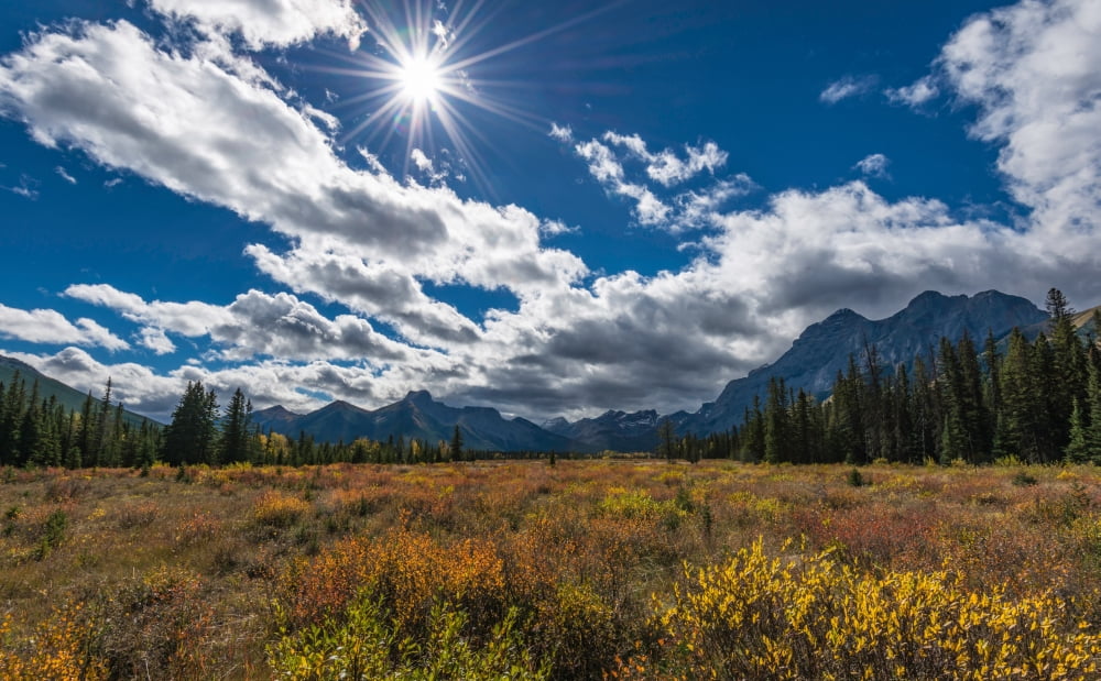 Alpine meadow in autumn Mt Kidd The Wedge Kananaskis Country Alberta Canada Canvas Art - Panoramic Images (24 x 40)