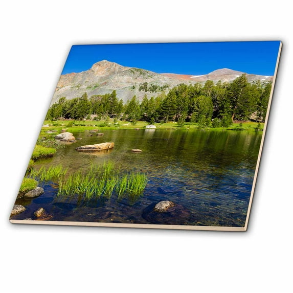 3dRose, Alpine tarn in Dana Meadows,Yosemite NP, California, USA, 6 Inch Ceramic Tile