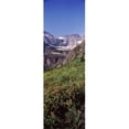thumbnail image 1 of Alpine wildflowers on a landscape US Glacier National Park Montana USA Poster Print by  - 12 x 36, 1 of 1