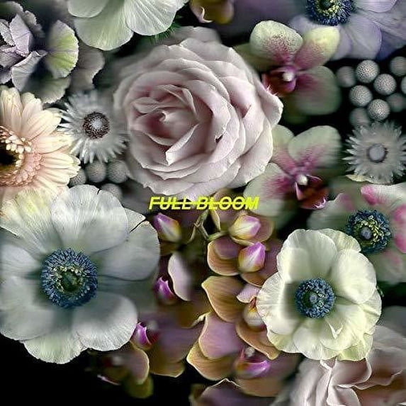 Alpines - Full Bloom - Vinyl