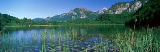 Alpsee Bavaria Germany Canvas Art - Panoramic Images (36 x 12)