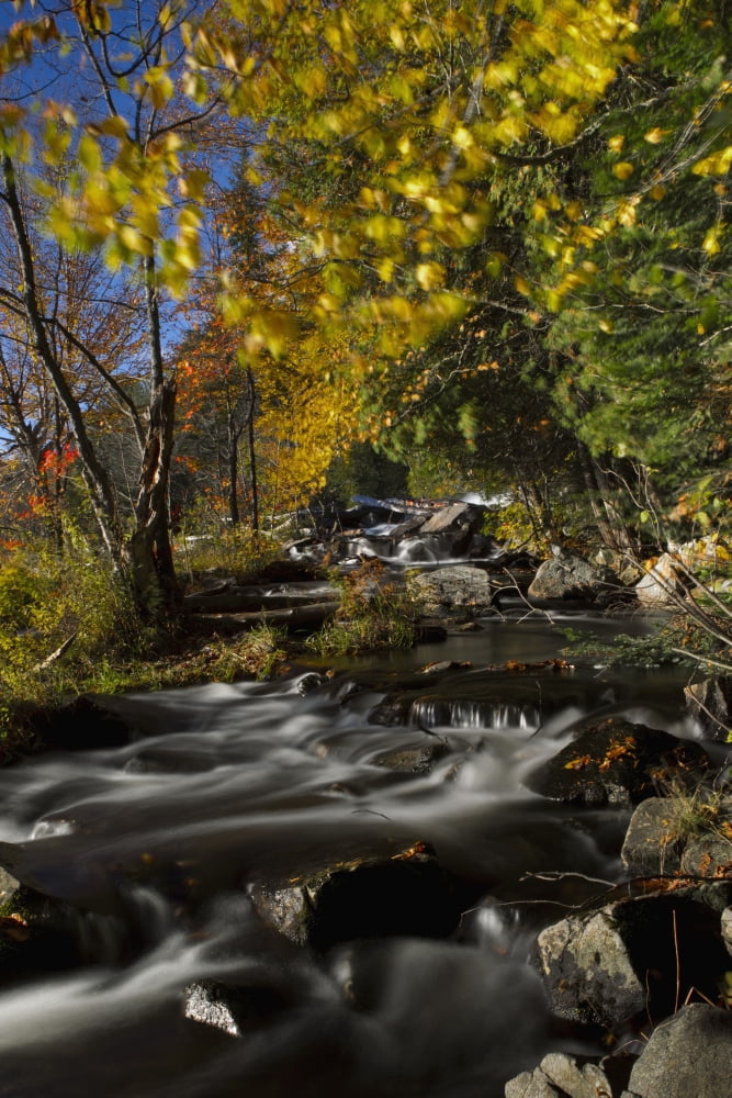 Alqonquin Provincial Park In Autumn Ontario Canada Canvas Art - John Bennett Design Pics (11 x 17)