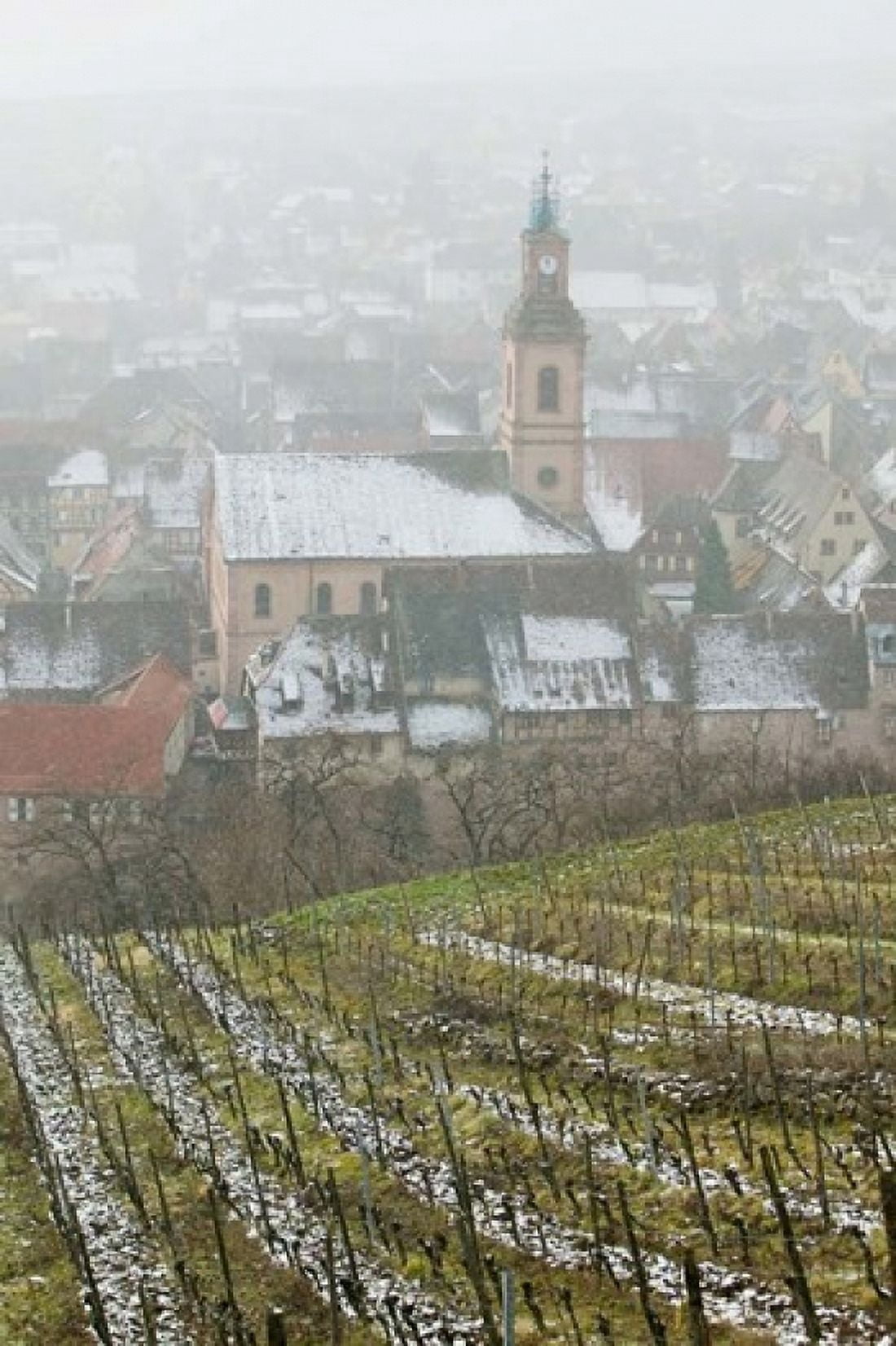 Alsatian Wine Village France Canvas Art - Walter Bibikow DanitaDelimont (18 x 26)