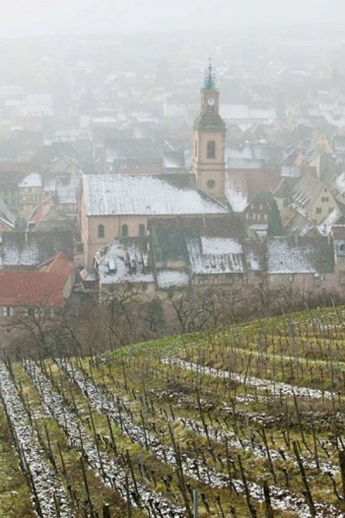 Alsatian Wine Village France Canvas Art - Walter Bibikow DanitaDelimont (24 x 36)