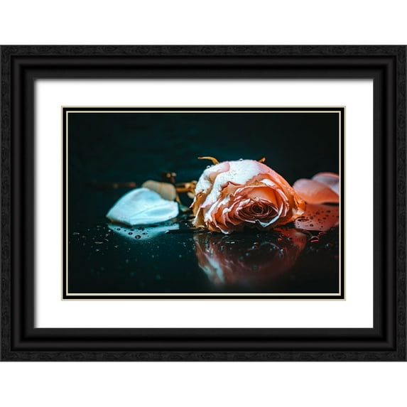 Alsharif, Yahia 18x13 Black Ornate Wood Framed with Double Matting Museum Art Print Titled - sad rose