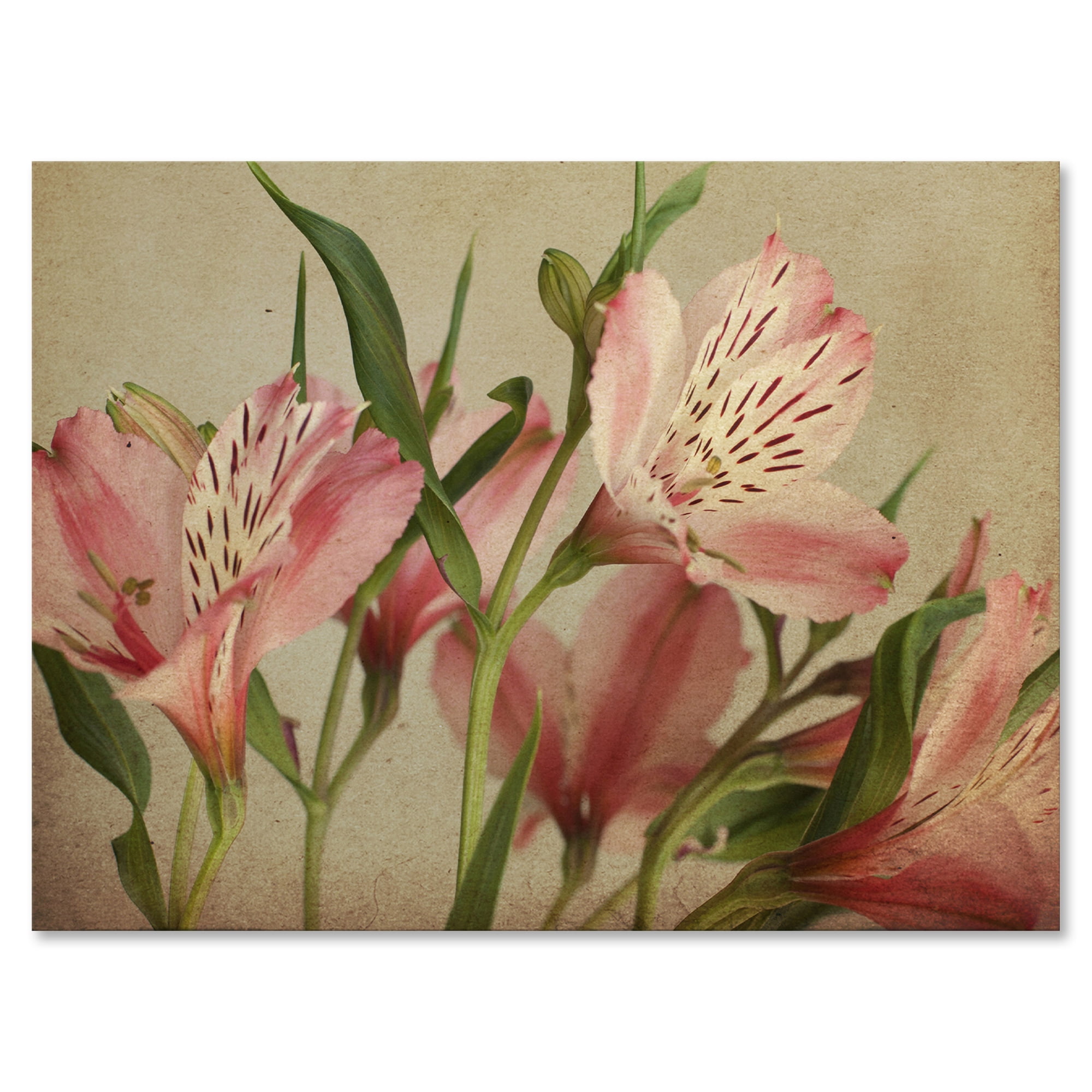 Alstroemeria Flower Retro 40 in x 30 in Painting Canvas Art Print, by Designart