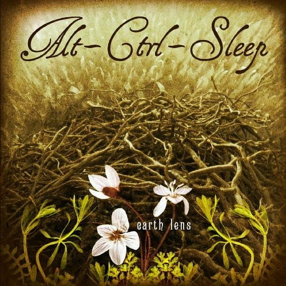 Alt-Ctrl-Sleep - Earth Lens - Rock - CD