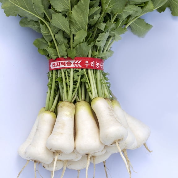 Altari Dochon 89 Korean Radish 2 Gram ~500 Seeds – Hybrid, Raphanus sativus | Mild, Crisp Roots | Spring & Fall Planting | Slow to Bolt | Non-GMO Cool Season Vegetable