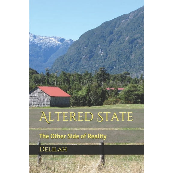 Altered State: The Other Side of Reality (Paperback)
