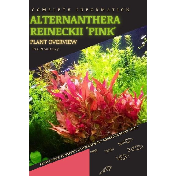 Alternanthera Reineckii 'Pink' : From Novice to Expert. Comprehensive Aquarium Plants Guide (Paperback)