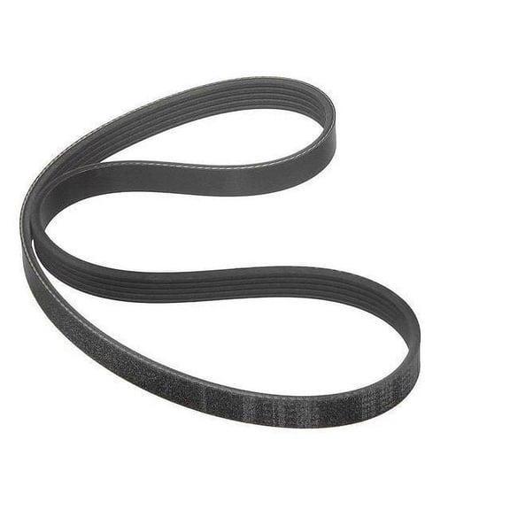 Alternator Multi Rib Belt - Compatible with 1992 - 1994 Nissan Maxima DOHC 1993