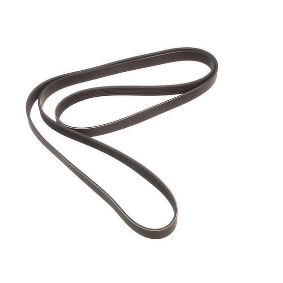 Alternator and Power Steering Multi Rib Belt - Compatible with 1999 - 2004 Land Rover Discovery Series II 2000 2001 2002 2003