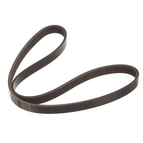 Alternator and Power Steering Multi Rib Belt - Compatible with 2003 - 2007 INFINITI FX35 2004 2005 2006