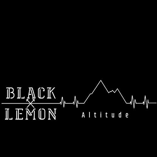 Altitude (Audiobook)