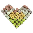 thumbnail image 1 of Altman Plants Bulk Succulent Plants (50PK) Love Live Plants & Small Succulents - 2 in Pots, 1 of 11
