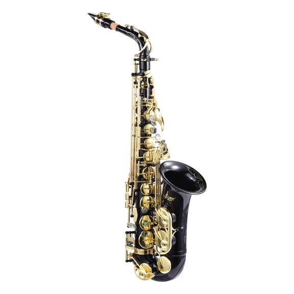 Alto Saxophone E Flat Gold Lacquer Student Beginner Sax Full Kit School Band Orchestra Instruments for Beginners, Music Lover