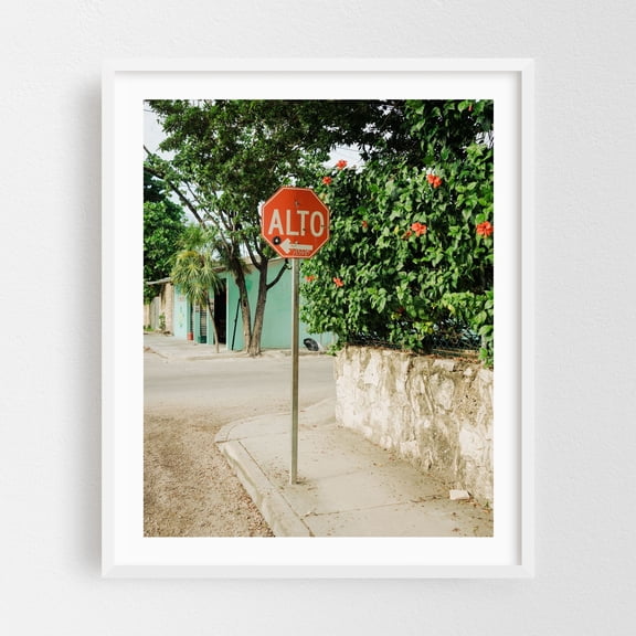 Alto, Tulum - Tulum Quintana Roo Mexico Photography Street Photography Tropical Floral Travel Poster Architecture Rural Botanical White Framed Wall Art Print 18 x 24 inches