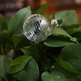 thumbnail image 1 of Altsales Plant Waterer Self Watering Bulbs, Hand Blown Clear Glass Plant Watering Globes for Indoor, 1 of 3