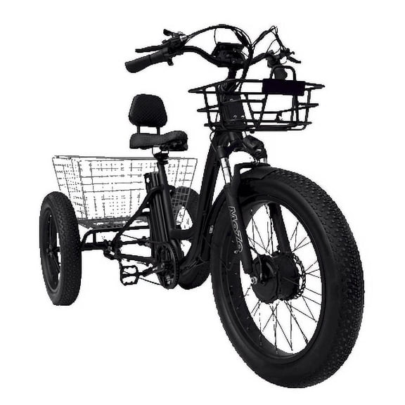 Aluminium Alloy Frame Fat Tire Electric Tricycle Trike - High Performance