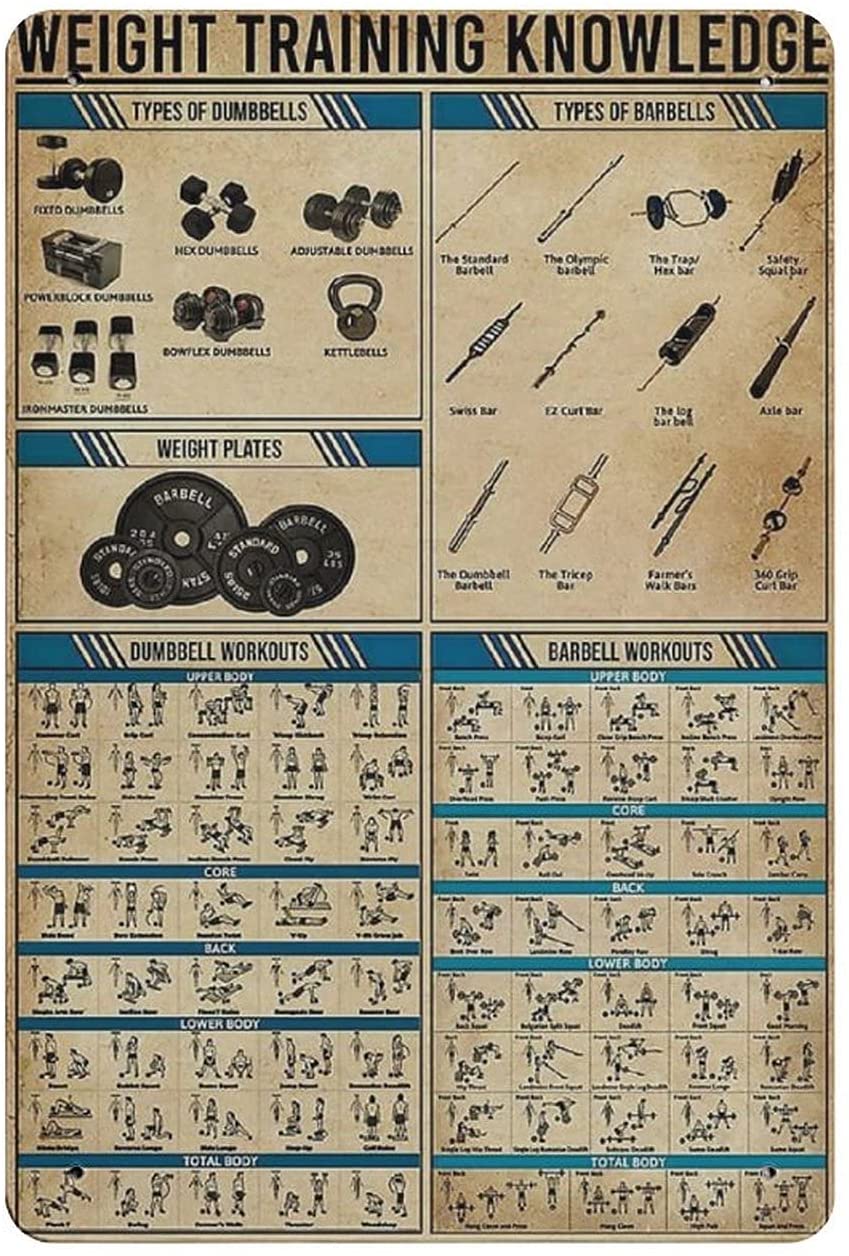 Aluminium Metal Tin Sign Funny Weight Training Knowledge Funny Home