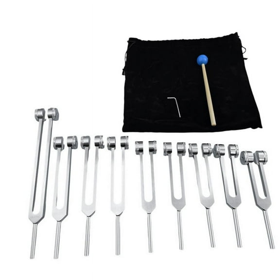 Aluminum Alloy Chakra Tuning Forks Set with Hammers for Healing, Sound Therapy, Meditation, Yoga Silver,Silver