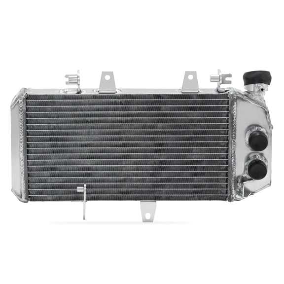 Aluminum Engine Water Cooler Radiator For BMW F650GS K7X 2006-2012 F700GS 2010-2018 F800R 2005-2006 2008-2018 F800S 2004-2010 F800ST 2004-2012 F800GT 2011-2018 12 13 14 15 16 17117678284 17118530393